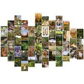 Kit de collage Cottagecore